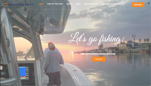 Website development